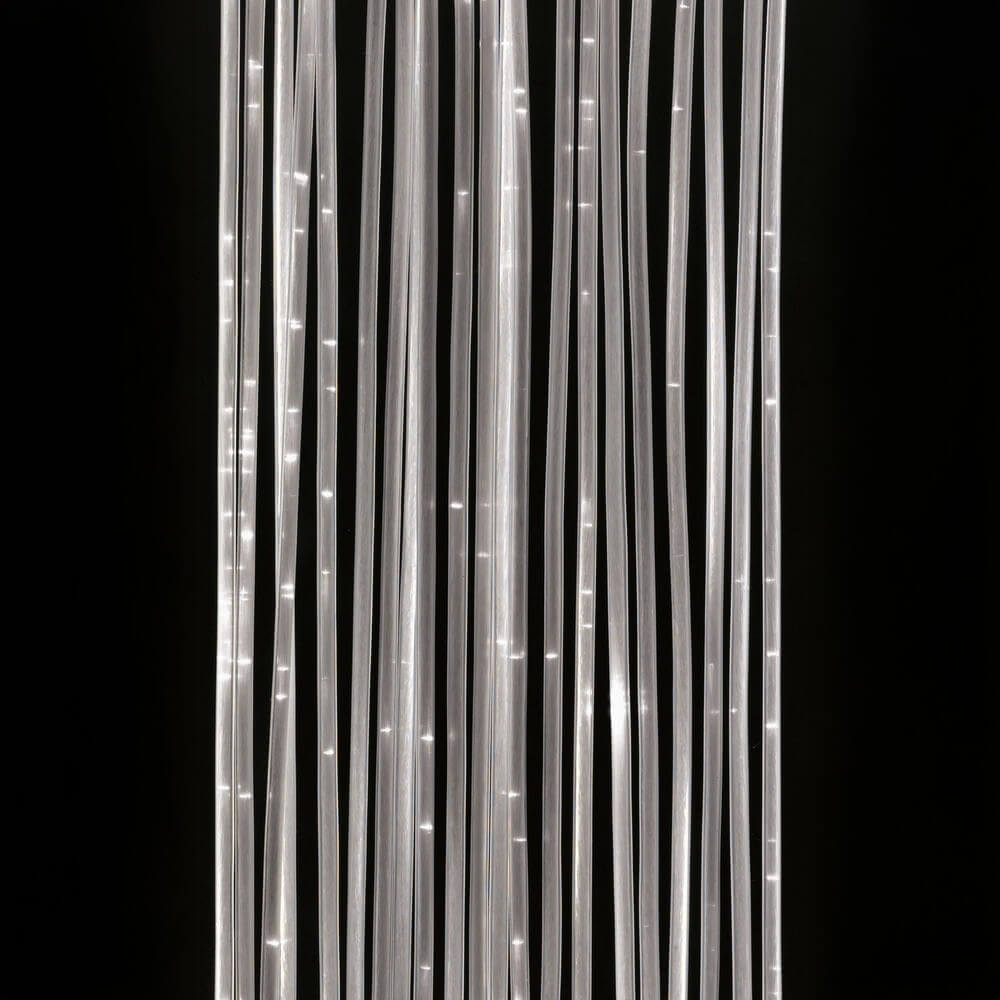 5 5